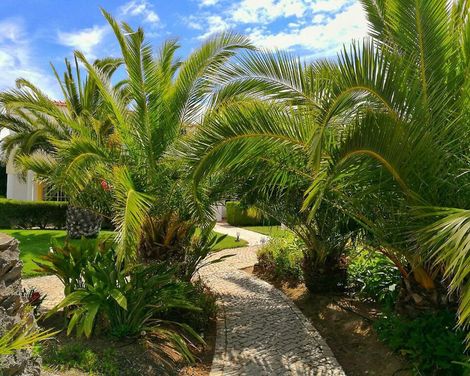 Luz Bay Club Beach & Sun Hotel-4