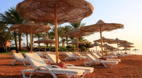 Sharm Club Beach Resort