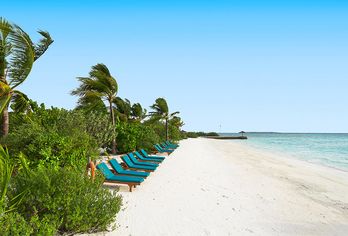 Hotel, Canareef Resort Maldives