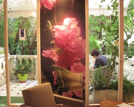 Le Windsor, Jungle Art Hotel-0