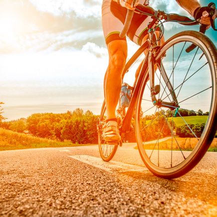 Ferienhaus Urlaub Deutschland Radfahrer auf Landstraße