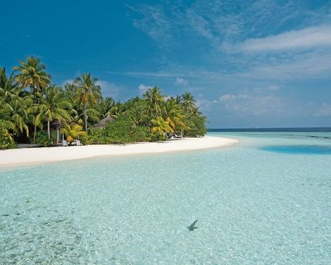 Safari Island Resort & Spa-1