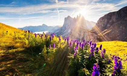 Österreich