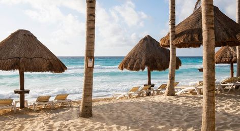 Hotel NYX Cancun