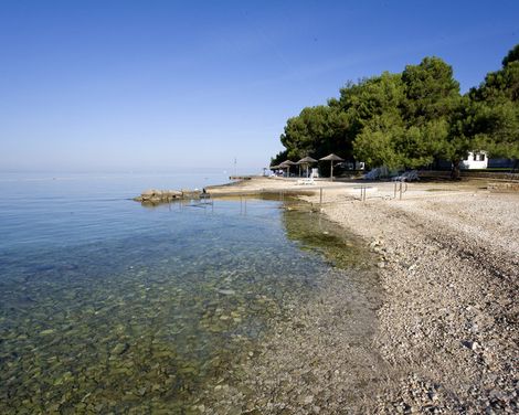 Apartments Galijot Plava Laguna-1