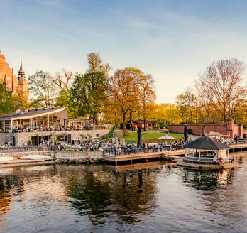 Eine Stadtansicht mit Gebäuden und einem Fluss, umgeben von Herbstbäumen.