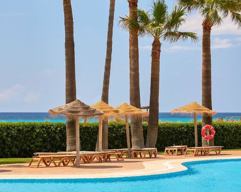 Sol Milanos Pingüinos-4