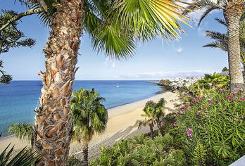 Hotel, IFA Altamarena by Lopesan Hotels