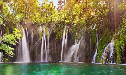Ein Fluss, der sich durch eine grüne Landschaft schlängelt.