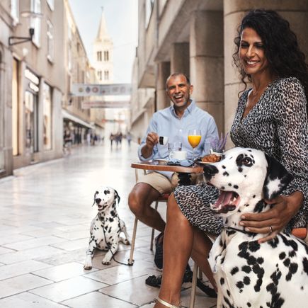 Städteurlaub in Kroatien mit Hund-2 Dalmatiner und ein Paar im CAfe
