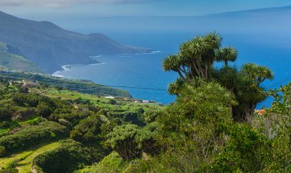 Blick auf die Buch von La Palma und das Meer