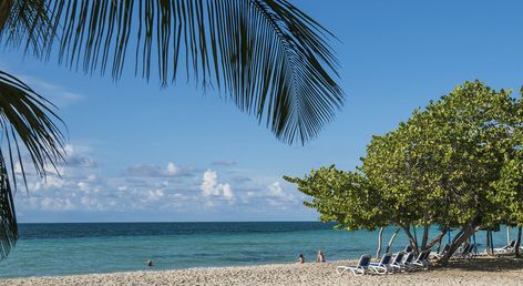 Hotel Playa Coco