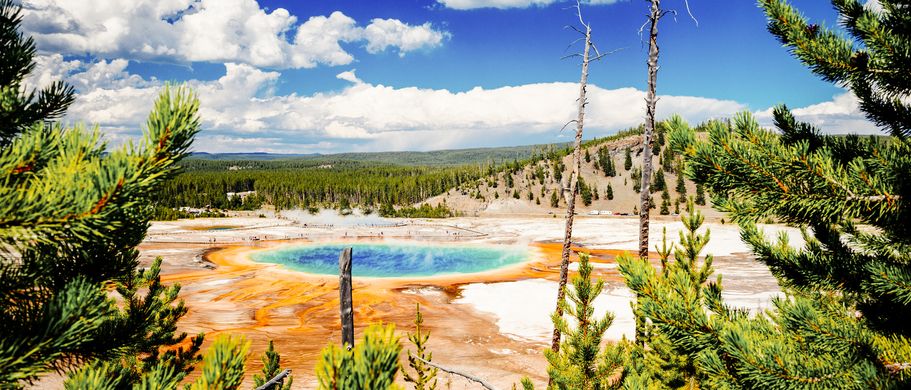 USA Nationalparks die Top Ten Reise Wasserloch und Geysir im Yellowstone Nationalpark