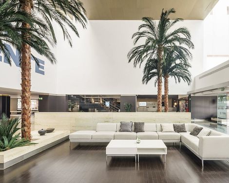 Hotel ILUNION Calas de Conil-4