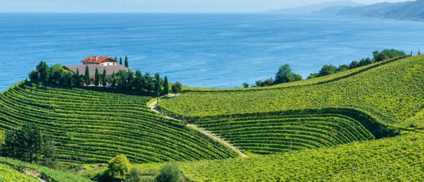  Baskenland, Weinberge, Landschaft