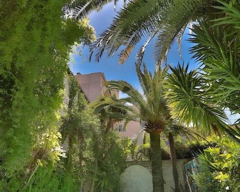 Le Windsor, Jungle Art Hotel-3