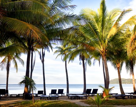 Sonnenliegen unter Palmen an ruhigem Strandabschnitt – Schattenspendende Palmen und leerer Strand laden zu vollkommener Ruhe und Entspannung am Südchinesischen Meer ein.
