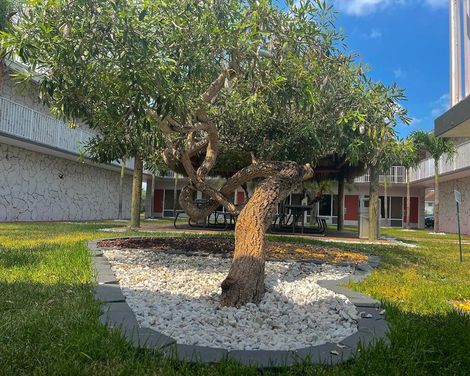 Garden Inn Homestead-2