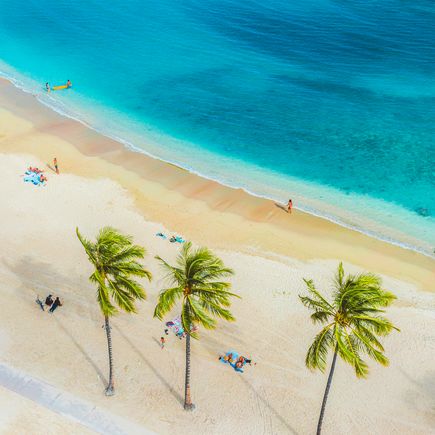 Strand in der Südsee mit Palmen