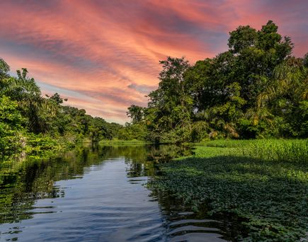 Fluss zu sehen, rechts und links üppige grüne Vegetation, anmutiger roter Himmel