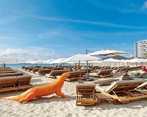 Ushuaïa Ibiza Beach Hotel & The Unexpected Ibiza Hotel-2