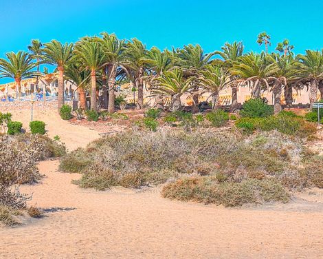 SBH Monica Beach Resort-1