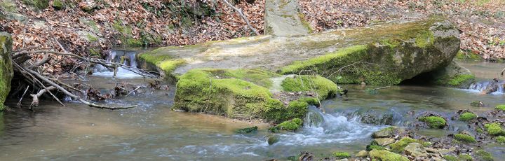 Albena Nationalpark in Bulgarien