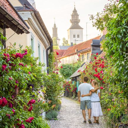 Ferienhaus Urlaub Schweden Paar in Visby zwischen Blumen