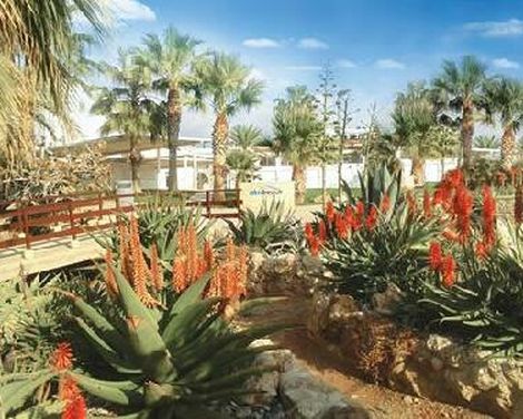 Akti Beach Village Resort-3