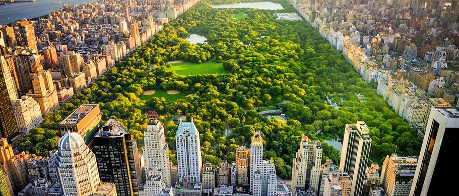 Städtereise: New York Panoramablick über Central Park von oben