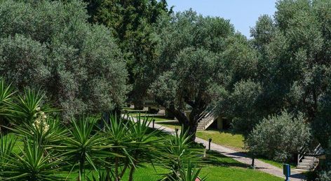 Palmariva Beach Hotel