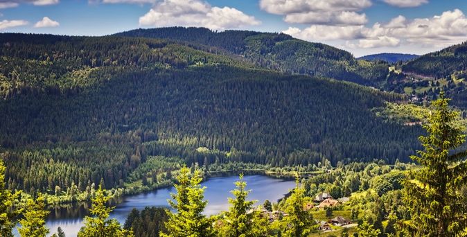 Panoramablick über bewaldete Hügel und einen kleinen See im Schwarzwald.