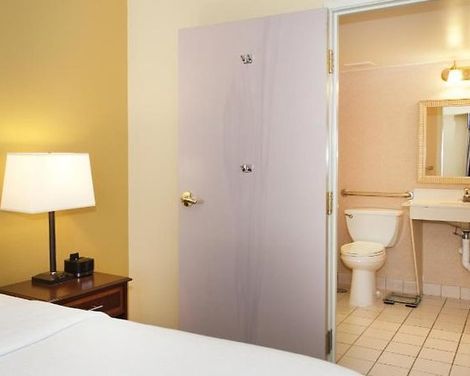 Holiday Inn & Suites Chicago - Downtown-3