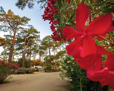 San Damiano Camping-Bungalows-2