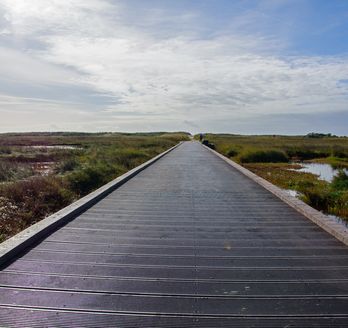 Greune Stee, ein Steg.