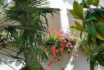 Hotel, Apartments Villa Marija Obsivac