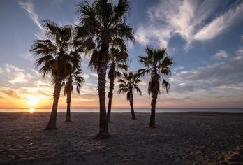 Estival Vendrell Platja