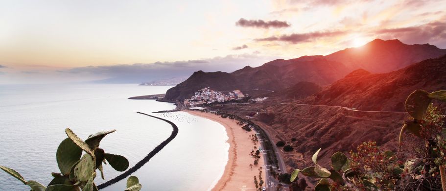 Der goldene Sandstrand Playa de las Teresitas auf Teneriffa, Spanien, mit Palmen, die am Ufer stehen, und dem ruhigen türkisfarbenen Wasser.