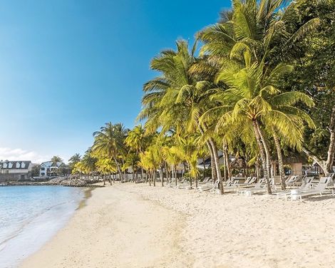 The Ravenala Attitude -2