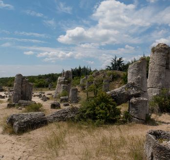 Blick auf ein Steinfeld im Gras.