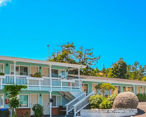 Bluebird Inn-3