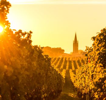 Bordeaux Wein Saint Emilion