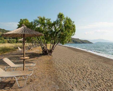 Delfinia Hotel & Bungalows-0