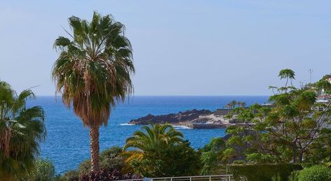 Melia Madeira Mare