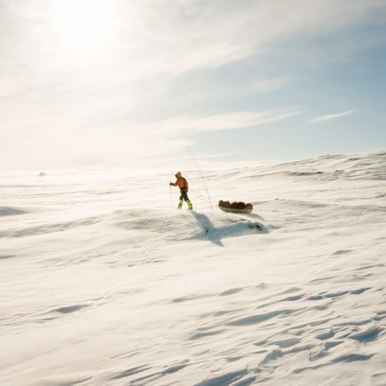  Schneewandern in der Hardangervidda