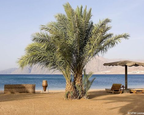 Dahab Lagoon Club & Resort-1