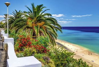 Hotel, SBH Hotel Club Paraiso Playa