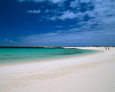 TAO El Cotillo-0