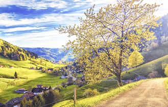 Landschaft mit Bäumen