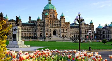 Blick auf das Parlamentsgebäude in Victoria. Dafür eine riesige Grünfläche und davor viele bunt blühende Tulpen. Blauer Himmel.